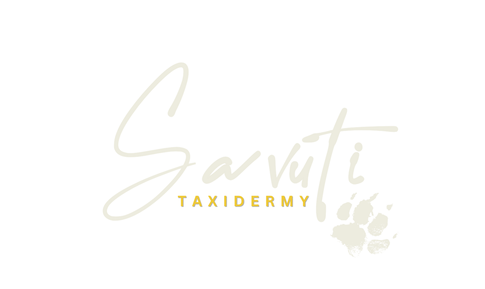 Savuti taxidermy