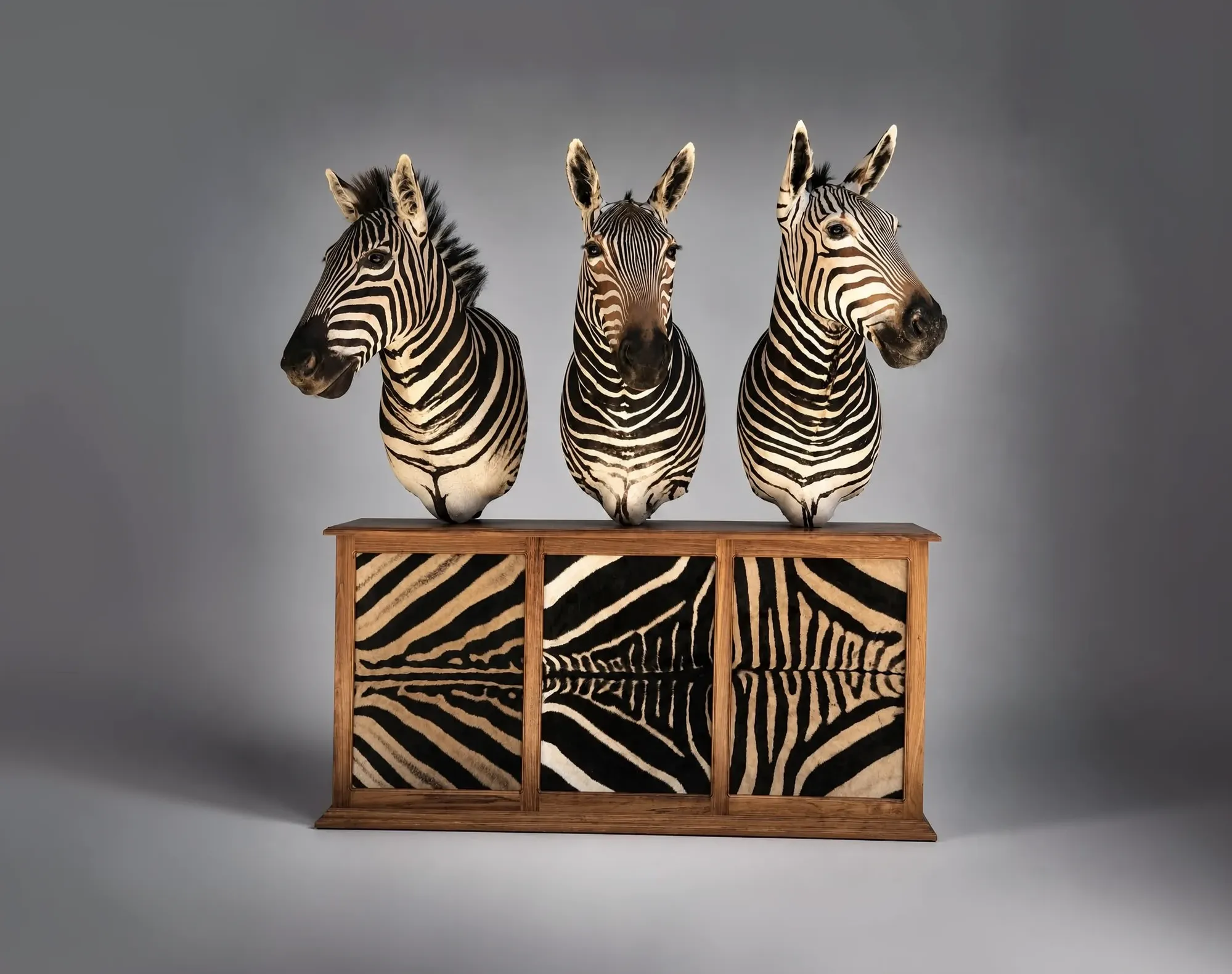 Three mounted zebra heads above a zebra-hide cabinet